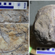 Imagen para el artículo titulado Cerca de 100 nidos de titanosaurio, completos con huevos fosilizados, encontrados en la India